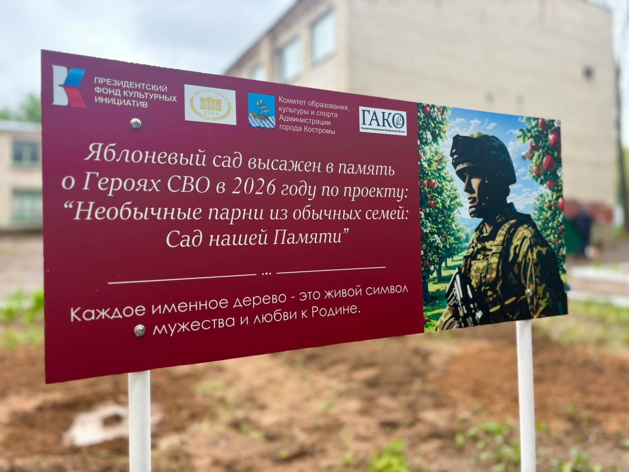 В Костромской области высаживают яблоневые сады в память о погибших бойцах СВО