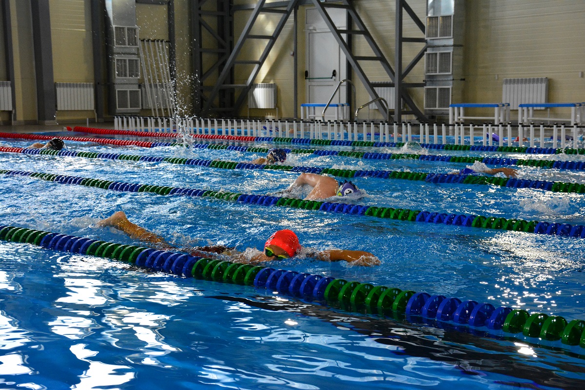 В костромском Давыдовском микрорайоне открыли новый бассейн «Чемпион»