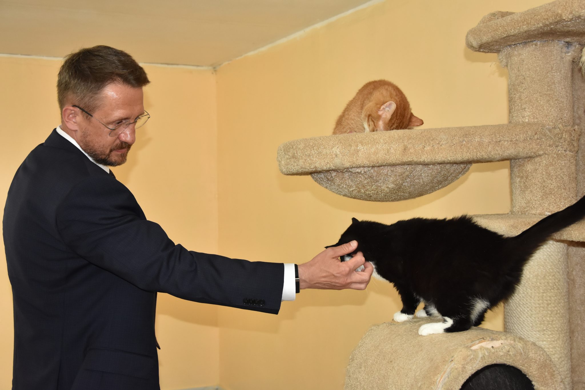Новый «Дом здоровья» для животных открыли в Костроме