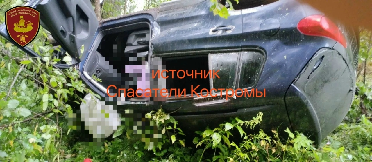 Вылет в кювет на костромской трассе унес жизни двух мужчин