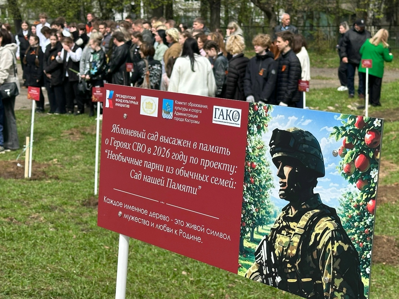 В Костромской области в честь погибших героев СВО высадили более 300 именных яблонь