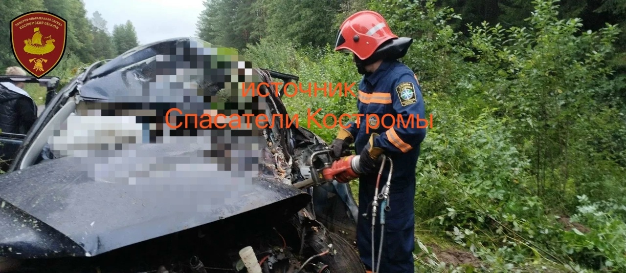 Вылет в кювет на костромской трассе унес жизни двух мужчин