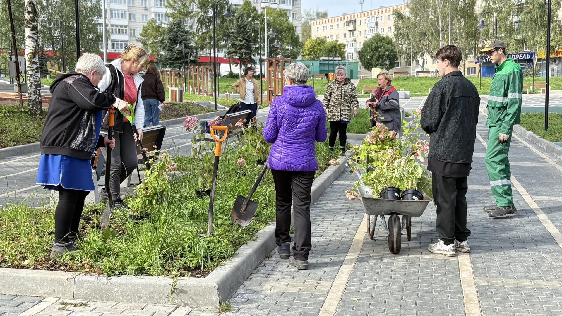 В Костроме новый Юбилейный сквер засаживают гортензиями и пурпурными ивами