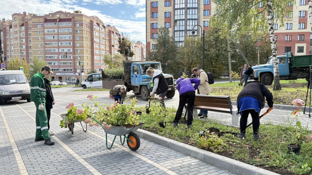 В Костроме новый Юбилейный сквер засаживают гортензиями и пурпурными ивами